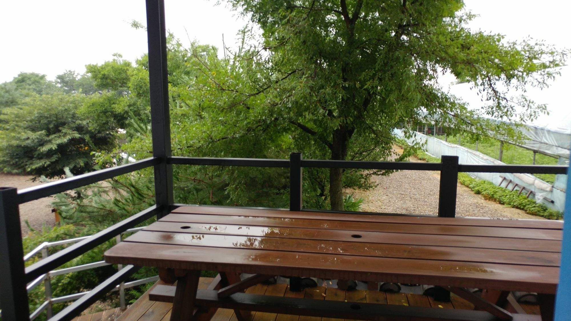 Chowoo Guesthouse Gyeongju Ngoại thất bức ảnh